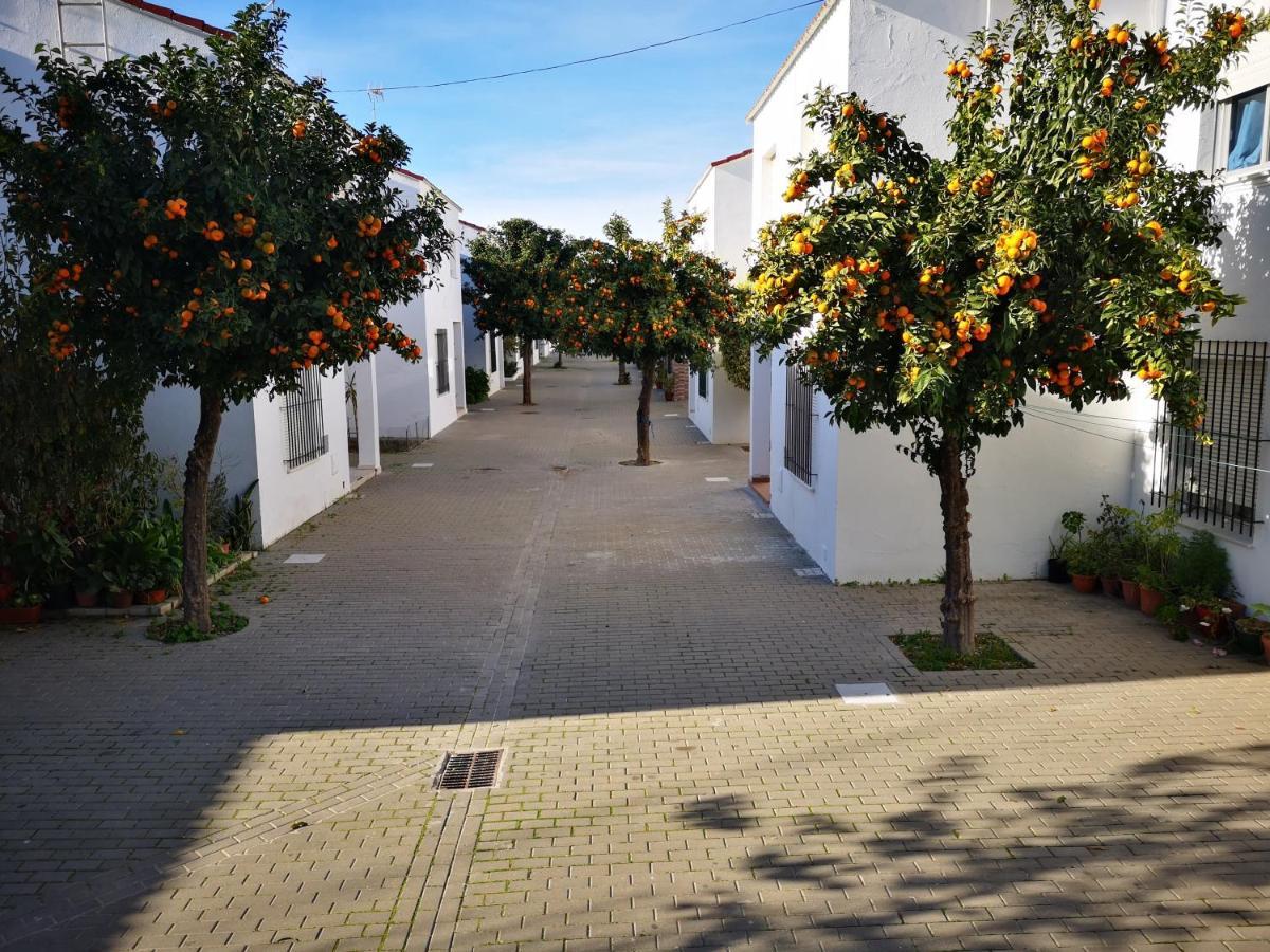 Hermoso Apartamento En Conil Conil De La Frontera Exterior photo